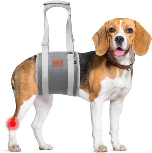 Vista 16 de Arnés de elevación ajustable para perros, cabestrillo para perros grandes, soporte de elevación y arnés de rehabilitación para patas traseras Negro