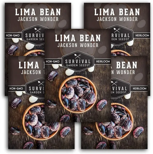 Vista 11 de Jackson Wonder - Semillas de frijol de mantequilla moteadas para plantar, 1 paquete Frijoles Lima Heirloom, variedad cremosa del sur, vainas