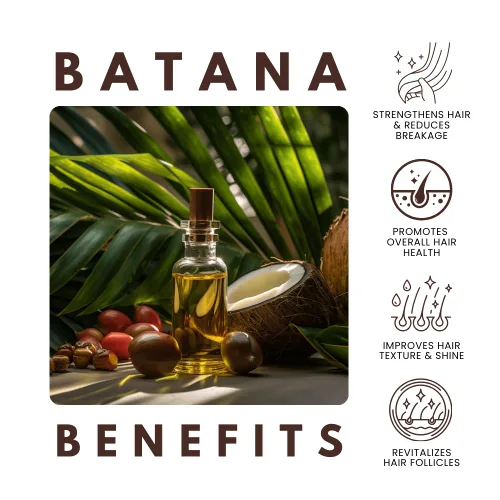 Vista 5 de AllDay Locks Batana Aceite para el crecimiento del cabello, cabello saludable, más grueso, más fuerte y brillante, 100% aceite de batana hondureño