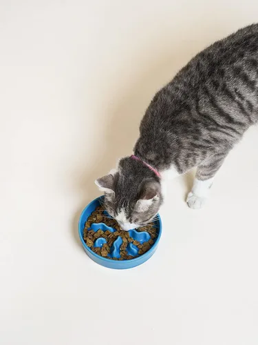Vista 6 de Cuencos de cerámica para alimentación lenta para perros de raza pequeña, 0.5 tazas de plato de comida para perros que comen rápido, cuenco