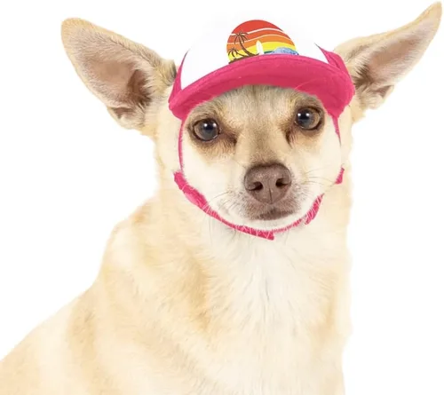 Vista 10 de Sunset Collection, sombreros de camionero de PupLid para perros (XXS) Protección solar elegante de alta calidad para el perro moderno, ajustable