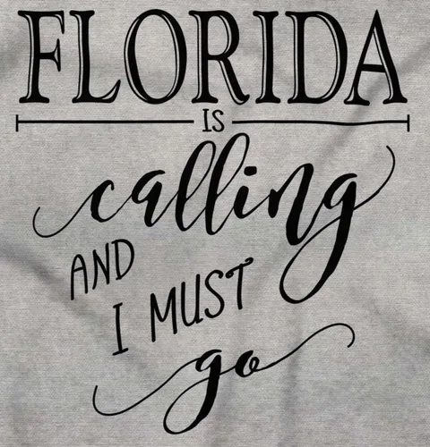 Vista 2 de Brisco Brands Sudadera con capucha Florida is Calling and I Must Go para mujer y hombre