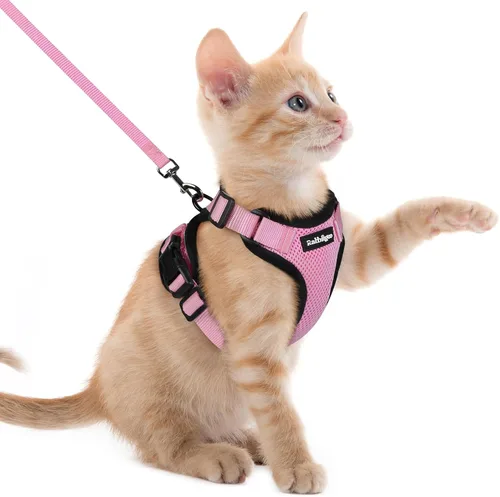 Vista 102 de rabbitgoo Cat Harness and Leash Set, Escape Proof Vest, XXS, Berry Pounce Soft Breathable Mesh, No-choke Adjustable Fit, Snap Buckles, Sturdy