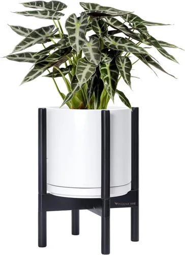 Vista 110 de D'vine Dev Maceta de cerámica con soporte de ébano – Maceta redonda moderna de 8 pulgadas con soporte para maceta de madera, color negro, 55-B-M-2