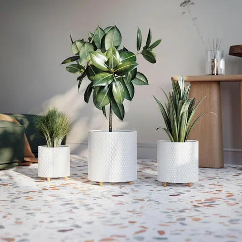 Vista 3 de EverNest Claire - Juego de macetas de interior modernas con soporte, patrón blanco, maceta SelectBase, estilo moderno neutro de mediados de siglo