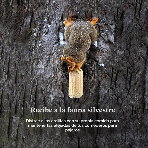 Vista 3 de C&S Nut'n Sweet Corn Squirrelog, recarga de paquete individual