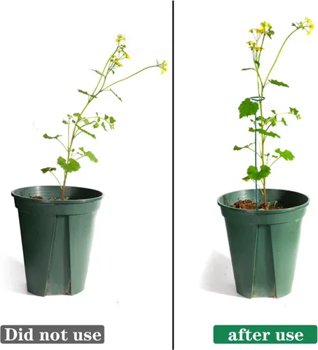 Vista 4 de PFNRTH Paquete de 4 estacas para plantas, estacas de soporte para plantas para dos tamaños (16 o 32 pulgadas), estacas para plantas al aire libre