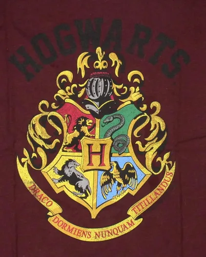 Vista 3 de Harry Potter Hogwarts Crest - Camiseta de manga corta para niños, Granate