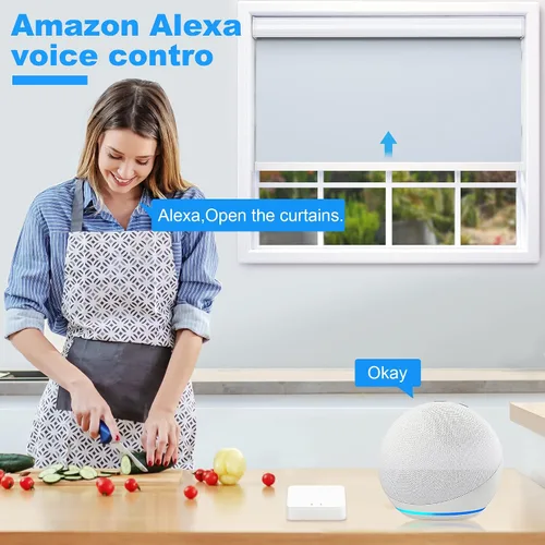 Vista 4 de Smart Zigbee Hub para persianas motorizadas JaeJaes funciona para persianas inteligentes opacas para ventanas, compatible con Alexa