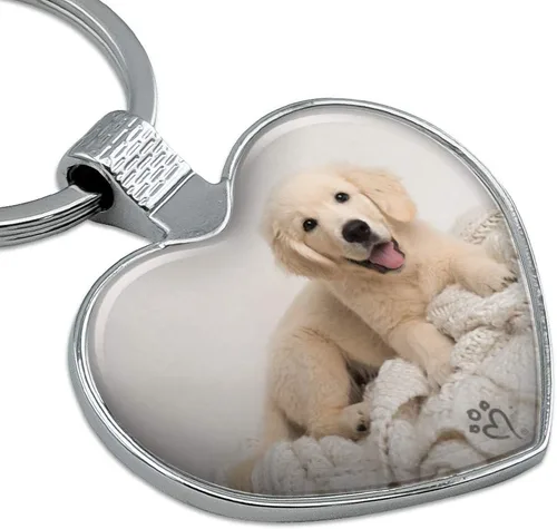 Vista 2 de GRAPHICS & MORE Golden Retriever - Llavero de metal con diseño de corazón y manta, Cromado