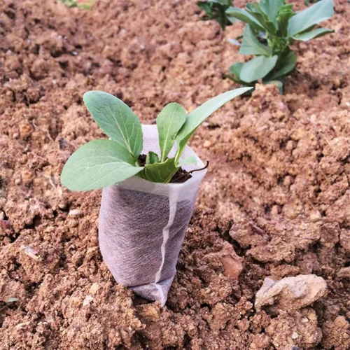 Vista 6 de 200pcs Biodegradable Non Woven Plant Grow Bags Waterproof
