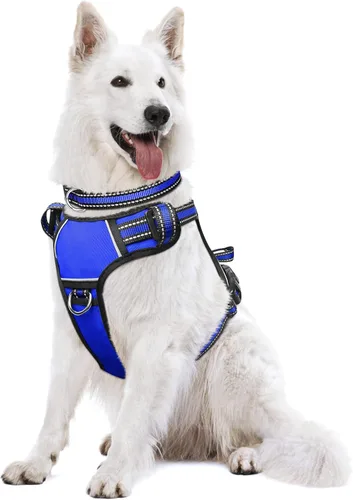Vista 26 de Arnés para perro sin tirones, arneses para mascotas con collar, chaleco Oxford reflectante y ajustable, hebillas delanteras y traseras para correa