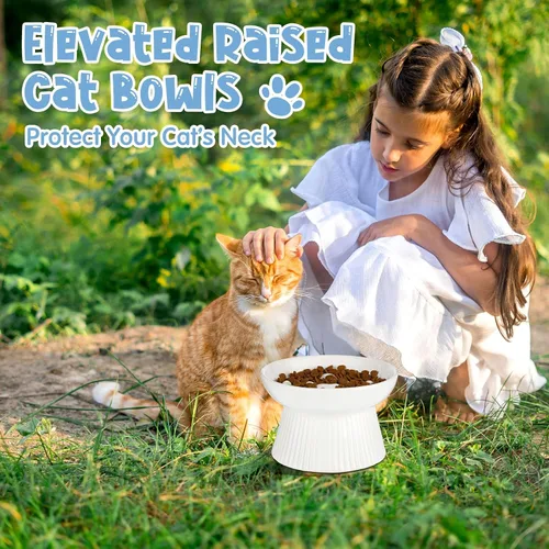 Vista 6 de Tioncy Cuenco elevado de cerámica para gatos con alimentación lenta