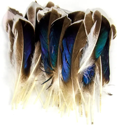 Vista 12 de 200 plumas de pavo natural de 5.1 a 5.9 pulgadas para tocados, sombreros, tocados, proyectos de manualidades, decoración de boda (014)