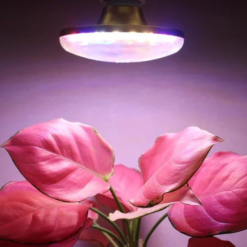 Vista 2 de Luces LED de cultivo para plantas de interior, lámpara de cultivo de plantas de espectro completo, E26/E27 10W luz de crecimiento, luz