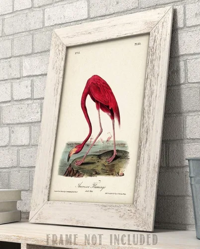 Vista 4 de American Flamingo Illustration - 11x14 Unframed Art Print - Great Wall Decor and Gift