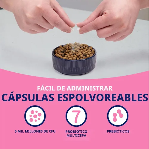 Vista 8 de Nutramax Probióticos proviables para perros y gatos pequeños, kit de apoyo para la diarrea, suplemento de salud digestiva con múltiples cepas
