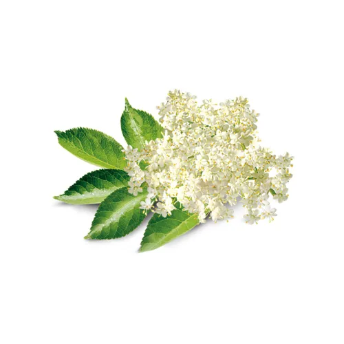 Vista 2 de Extracto de sabor de flor de saúco para hornear, aroma floral aromático, sin OMG, sin gluten, kosher, vegano, 4 onzas