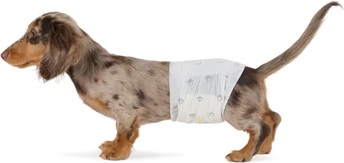 Vista 8 de Amazon Basics Pañales para perros machos, 30 unidades, XS, ultra absorbentes, desechables, con ajuste seguro, a prueba de fugas y cómodos