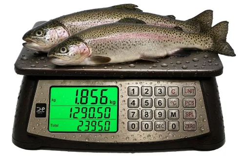 Vista 8 de Báscula de Cálculo de Precios, Báscula Comercial para Alimentos, Función de Contaje, 66 lb/30 kg, 1 g, Recargable, Diseño Impermeable, Teclas