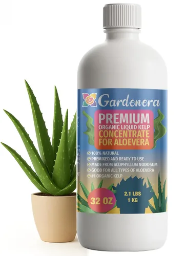 Vista 86 de GARDENERA Superalimento orgánico prémium de algas marinas y algas marinas para plantas AROID - 32 oz - Concentrado de fertilizante líquido de algas