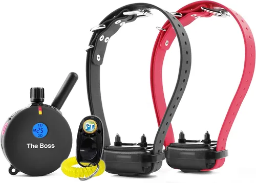 Vista 7 de Educator ET-800 The Boss E Collar para entrenamiento de perros con control remoto, rango de 1 milla, impermeable, 100 niveles de estimulación