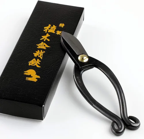 Vista 5 de Wazakura Kit de herramientas Ikebana fabricado en Japón, tijeras Ikenobo + soporte para flores Kenzan de sol y luna, juego de arreglos florales