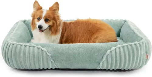 Vista 27 de EHEYCIGA Linda cama para perro de tamaño mediano, cama para mascotas de 30 Crema