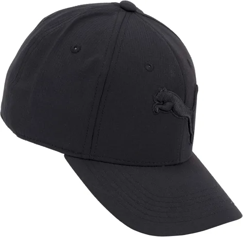 Vista 2 de PUMA Evercat Dillon - Gorra elástica