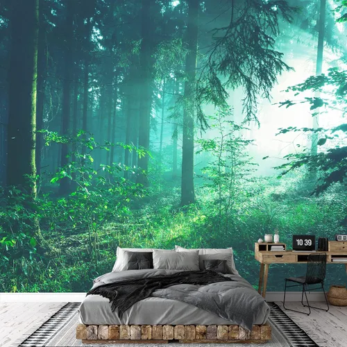 Vista 3 de SIGNWIN Adhesivo mural removible para pared, luz solar mística, niebla, bosque de árboles verdes, naturaleza, desierto, fotografía, realismo