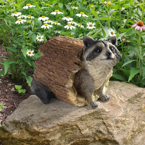 Vista 6 de Design Toscano Bandit the Raccoon - Estatua de animal de jardín para interiores y exteriores, 10 pulgadas de largo, resina de piedra fundida