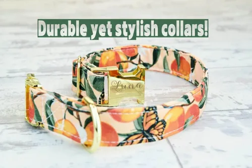 Vista 3 de Collar de perro Peaches con hebilla de metal o plástico, hecho a mano, collar personalizado grabado personalizado, 1 pulgada de ancho, collares