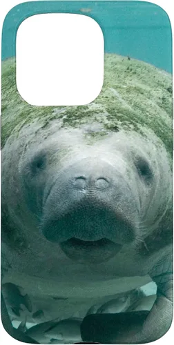 Vista 14 de Manatee Case for iPhone 17
