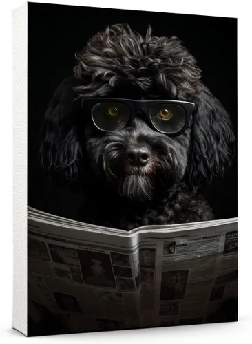 Vista 13 de Thuan Affenpinscher - Póster de lienzo con tus fotos, arte de pared para decoración del hogar, regalo conmemorativo para amantes de las mascotas