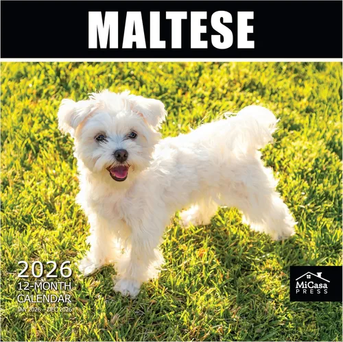 Vista 14 de MICASA PRESS Calendario de pared de Australian Shepherds Aussies 2027 02 - Pastores australianos