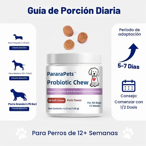 Vista 7 de Probióticos para perros, probióticos para la salud intestinal del perro, la salud gastrointestinal promueve la digestión y la absorción