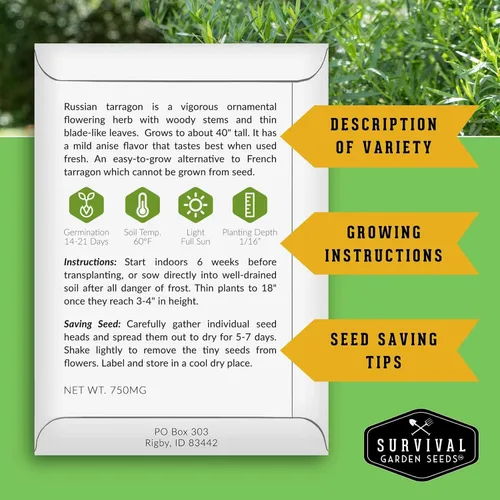 Vista 2 de Semillas de estragón ruso para plantar, hierba culinaria de reliquia, semillas perennes de polinización abierta sin OMG para cultivar, semillas