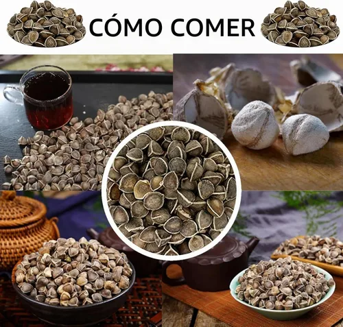 Vista 5 de Semillas de moringa prémium de 1 libra, moringa oleifera 100% natural, Malunggay, semillas de árbol de baquetas de India, superalimentos