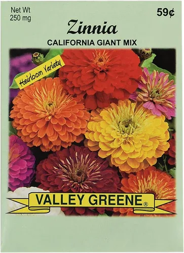 Vista 3 de ¡Juego de 50 paquetes de semillas de flores Forget Me Not Valley Green! Semillas de flores a granel - Forget Me Nots