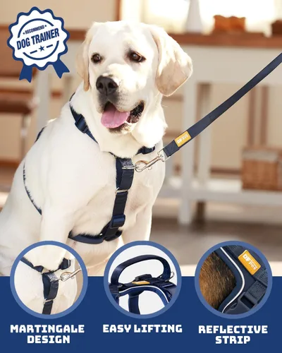 Vista 2 de DF Freedom - Arnés Martingale para perro, control suave para no asfixia, arnés de clip frontal con mango reflectante, ajustable y acolchado