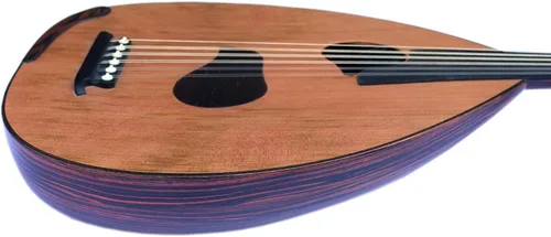 Vista 4 de Especial árabe eléctrico Oud Ud Aoud cuerda musical Oud Instrumento PROUD-5