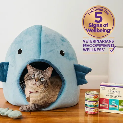 Vista 4 de Wellness CORE Signature Selects - Alimento húmedo enlatado grueso para gatos adultos, natural, rico en proteínas, sin granos, receta de carne de res