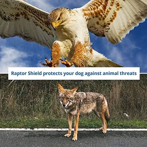 Vista 6 de Chaleco para mascotas resistente a pinchazos para perros pequeños, protección a prueba de garras contra ataques de coyotes, halcones, aves de presa