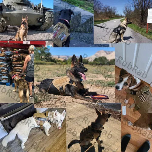 Vista 4 de Arnés táctico para perro con asa, chaleco Molle de entrenamiento militar con hebillas de metal y paneles de bucle, correa elástica para perro