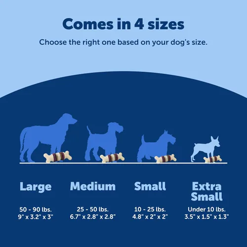 Vista 5 de PetSafe Busy Buddy Bristle Bone - Hueso de Cerdas - Juguete Duradero para Masticar para Perros con Cerdas y Protuberancias de Goma para la Salud