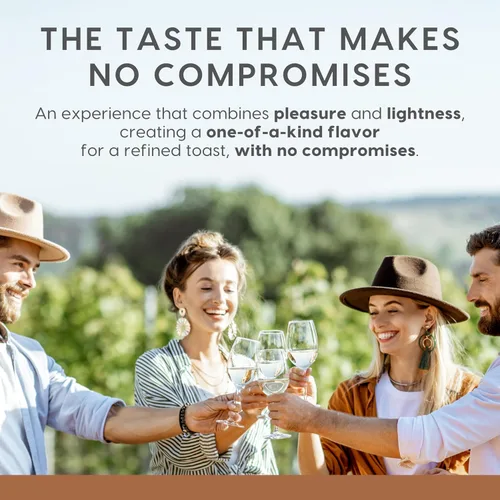 Vista 4 de Princess Bollicine Bianco Extra Dry - Vino espumoso de champán desalcoholizado al 0,0% sin alcohol de Italia, 25.4 fl oz, certificado Halal y vegano
