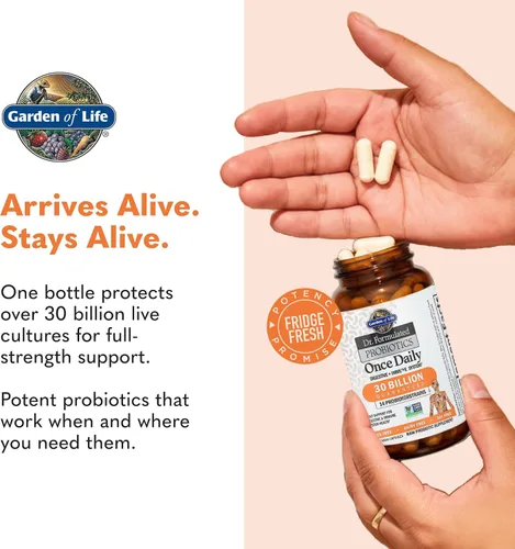Vista 7 de Garden of Life Probióticos formulados por Dr. una vez al día, probiótico Acidophilus con apoyo diario para la salud digestiva e inmunológica, sin
