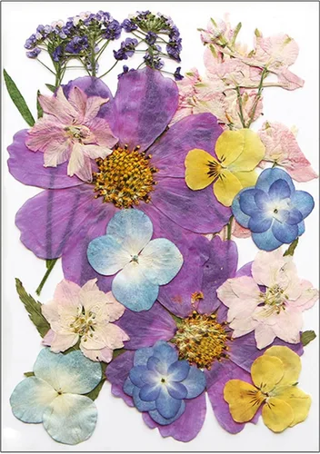 Vista 18 de Natural Pressed Dried Flower for Epoxy Resin Dry Flowers and Leaves Set for Soap Jewelry Making Scrapbooking Phone Case Decoration Section B