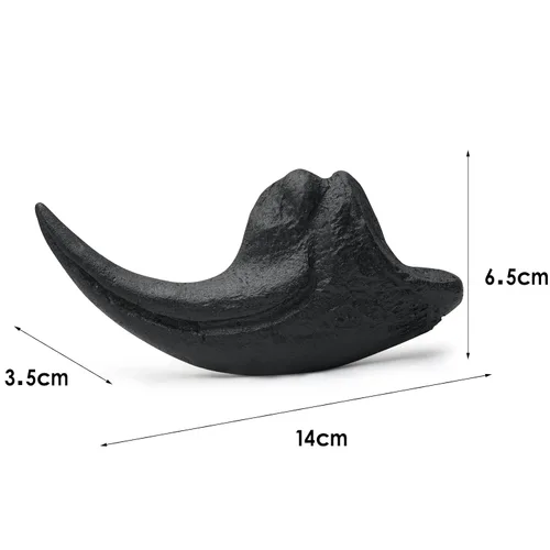 Vista 3 de Dientes fosilizados y garras de varios dinosaurios prehistóricos, dientes de tiburón megalodón y réplicas de alta fidelidad (garra de Allosaurus)
