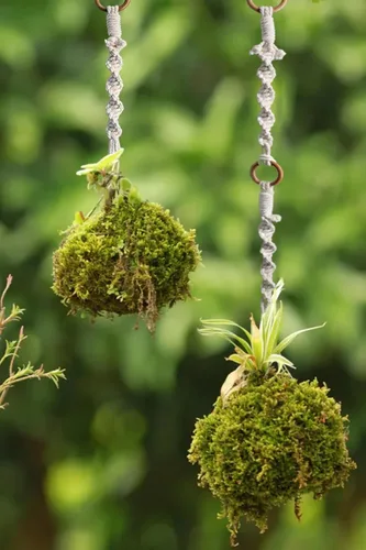 Vista 3 de Extensores colgantes de macramé para plantas colgantes (16 pulgadas, paquete de 6)